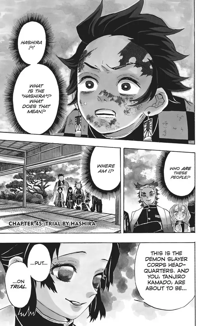 Demon Slayer Chapter 45 image 01_optimized